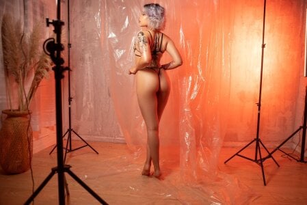 violette_clerk1_ Public Bilde 2