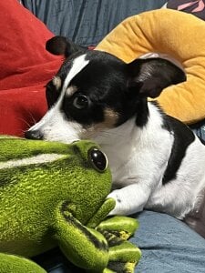 Alvin__Lin Public Pic 5