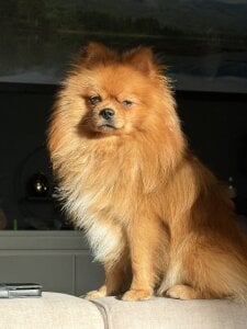 CurvyKimmy1 Love bug 사진 4