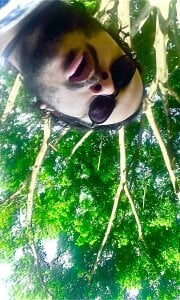 DemienMdivani Public Pic 5