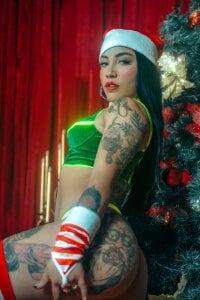 miss_vaiolette Merry Christmas 🎁🎄🎅 사진