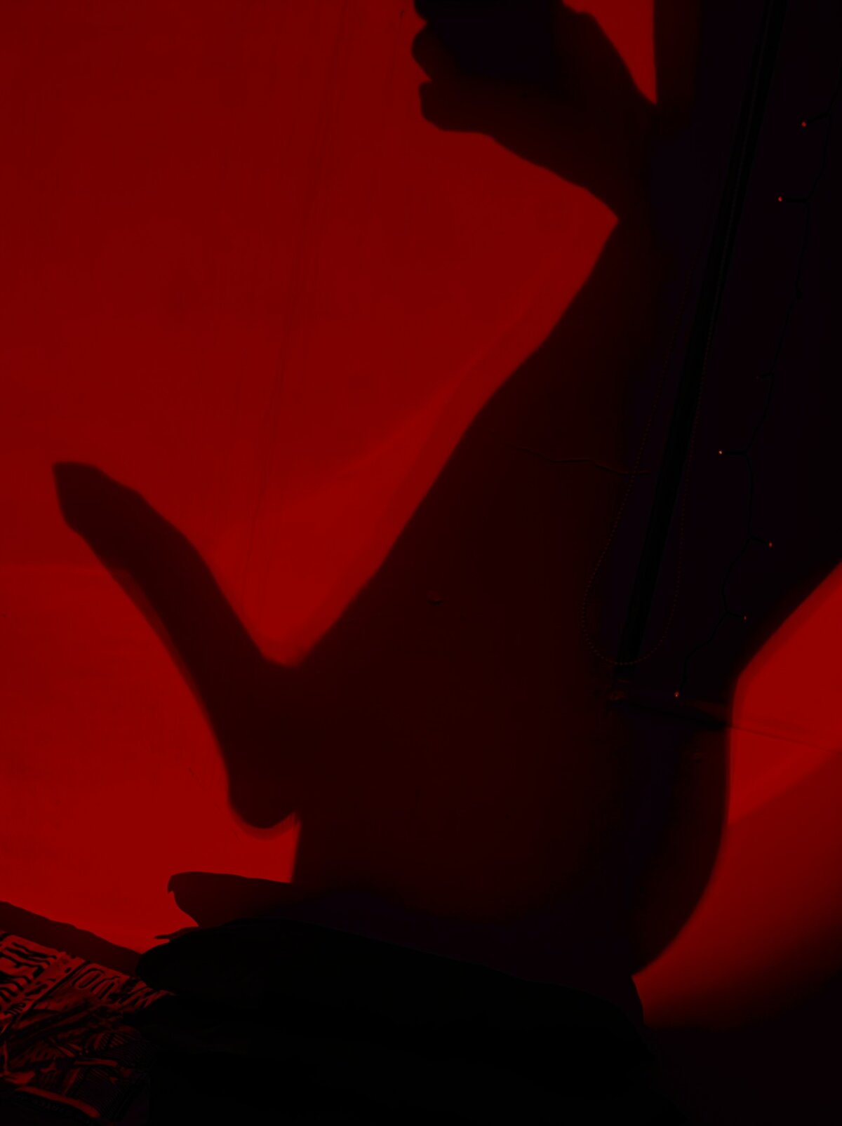 carl_dixon adlı kullanıcının viral fotoğrafları:  729