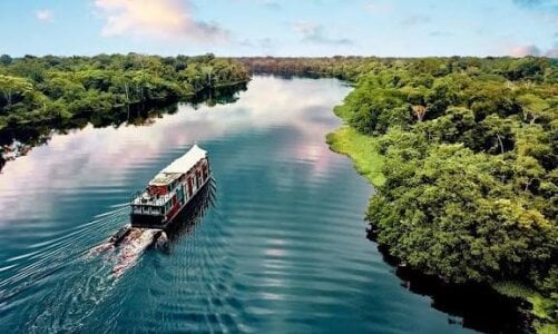 🫒🐒Next destination:Amazonas Leticia. de love_amor_ Foto 3