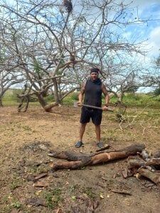 Daax_21 At the Farm ( en la granja) Pic 3