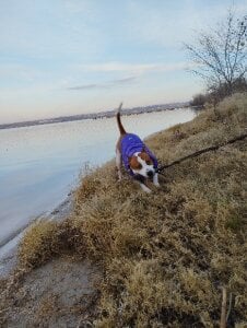 FoxyAnn12 Public Εικόνα 7