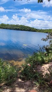 Mao211165 Natureza Foto