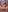 Alice_DavidsonMy new hot photos照片 8
