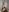 Gabriella_Hot_ 😻💋🔞I seduce you in sexy outfit 😻💋🔞 Pic 5