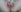 Tracy_Sergio209 Pussy photo with cum Pic 3