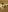 Aprill_Lin |improvisation| Pic 7