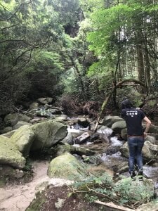 Public de DX-tarotaron  2 photos