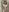 Fortune_888 In shower Photo 4
