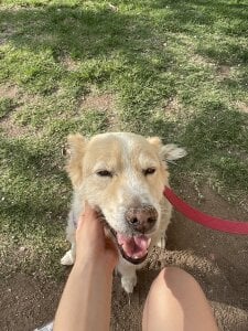 Marestrella-25 Public Foto 2