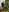 DonnaMagdalenaのSweet New year 2025)))の 9枚の写真