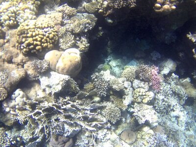 goroasroma90 Public Pic