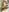 Luna-Natural Me Naked In Public Abbandoned Beach Residence Photo 6
