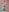 SnappyHappy Nude with Evy at Ticket show in Photobooth Photo 2