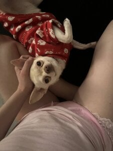 vase with flowers de LaveraMeling  4 Imagens