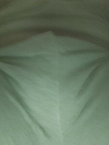 birzevkmeselesi Public Pic