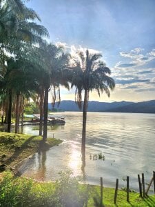 Alice_BarryのA magical weekend 🌿🌻の 8枚の写真