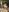 Shelly_hotwife During shows XXX-Foto 5