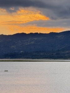 Taurusfairy Favs Billede 5