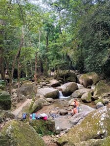 xt6601 Public slika 2