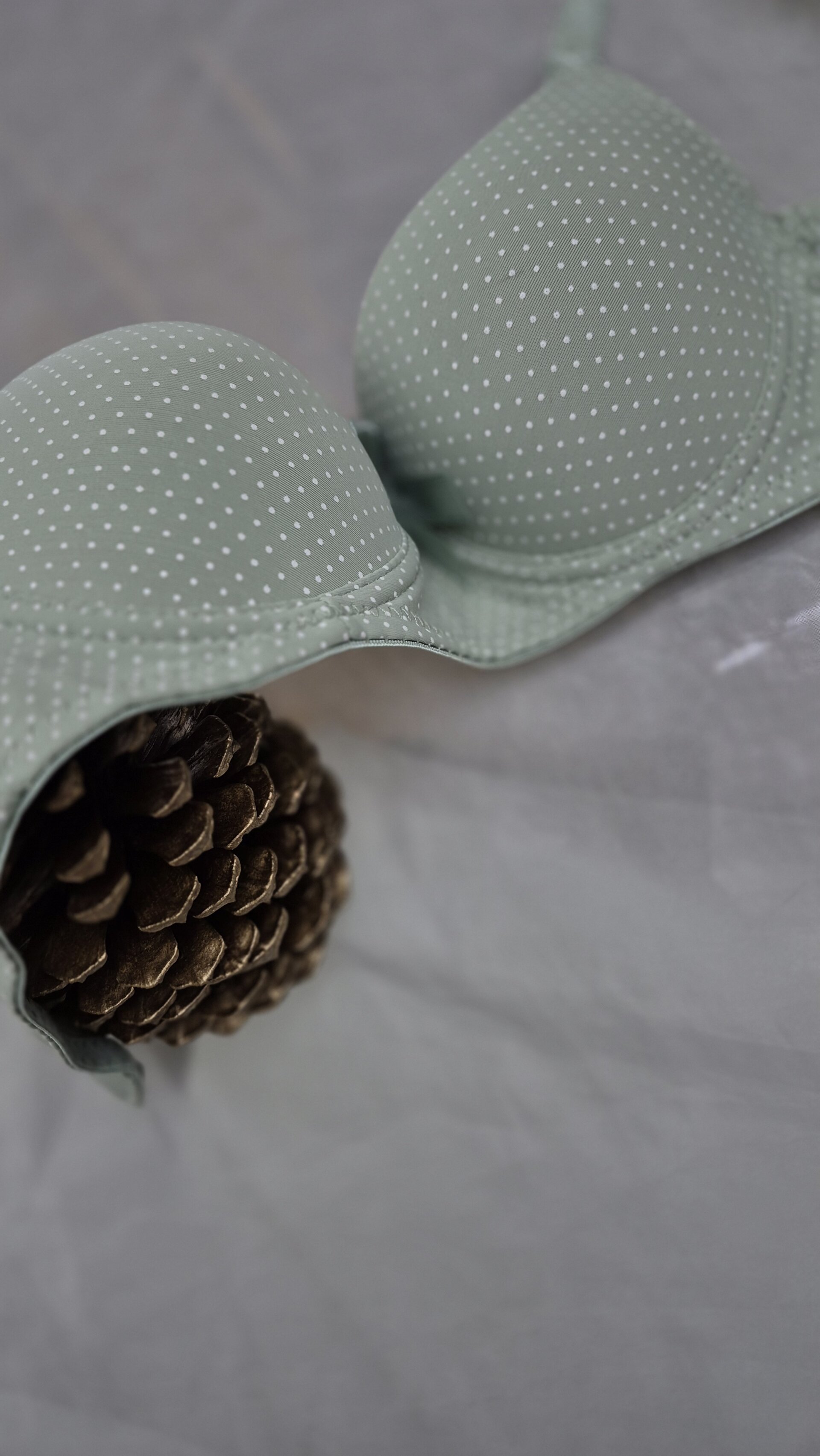 Details of my community ❤️ ❤️ ❤️ de Sam_Sara  photos