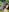 Alisha_Shy ride in the equestrian club Pic 5