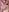 rileylovesyou Nudes 😈 Pic 3