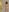 only panties de marilinaal  Imagens