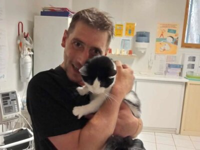 Reflex60690 Public Kuva