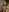 Scarlet_03 For my faithful friends💞💥🤭 Pic 7
