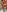 Fuck dildo Hot naked🔥💋❤️‍🔥 de LaraReinaDelSol  2 fotos