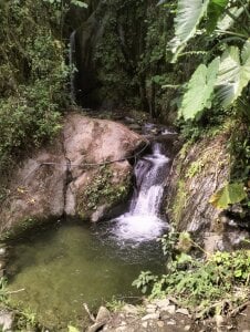 AshleyandCleo Nature Pic 6