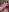 HOTWIFEVenessa69 PINK BAD GIRL IN FISHNET STOCKINGS Pic 3