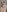 AlbertaLove_ 🧸 Pic 5