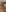 Radiants_two Jess's nude pussy photoset Pic 5