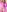 Maria-Ponto woman in pink Pic