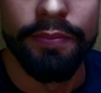 PhylosexPublic图片 3