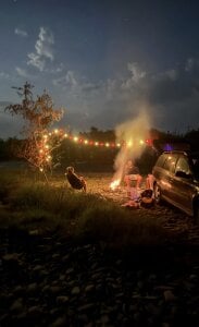 Romashka_1 Public Hình