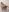NikkaHOTx Naked Shot Pic 9