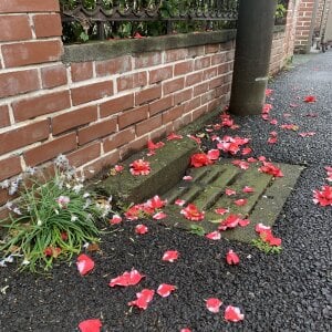 minami_room Public  5. fénykép