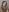 -veranito- Trichophilia 사진 7