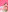 alai_smith_ Sweet Picnic 사진 6