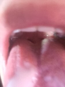 Zdjęcia GODLENORTE Public:  2