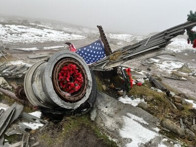 Gyno_Rod Public Εικόνα 4