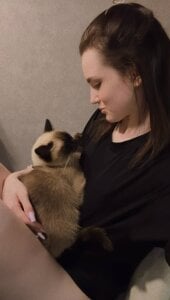 DollieDallam My cat ☺️ Pic