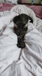 VandaRossiのMy favorite Splyushka😻 Splyushka will be glad of your financial support♥の 7枚の写真