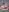 Ashley_Nicks 18+ naked Pic 2
